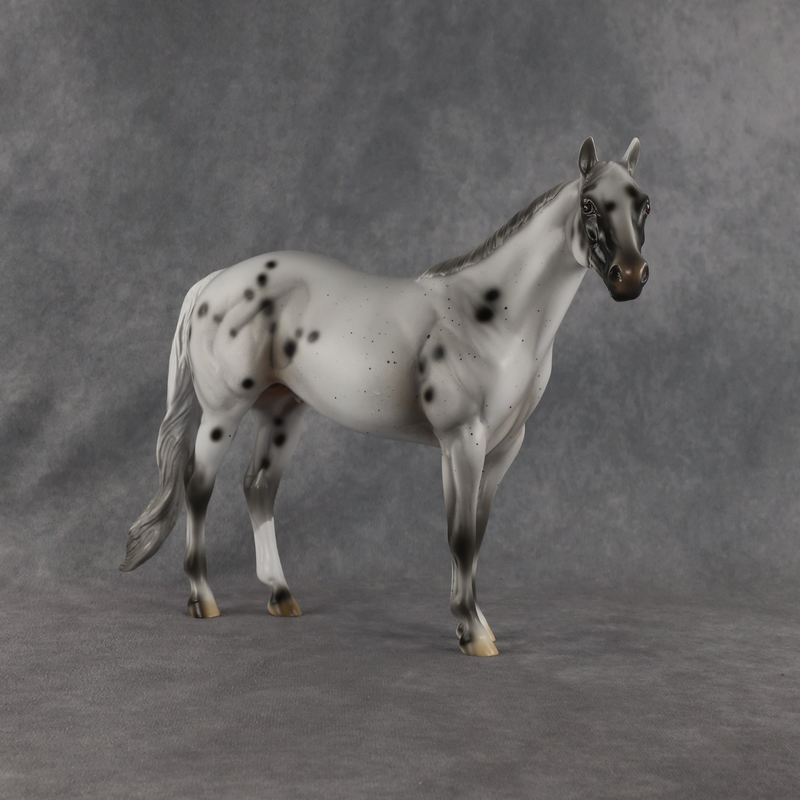 Conch OOAK Ideal Stock Horse by Madi Wiseman EQ26