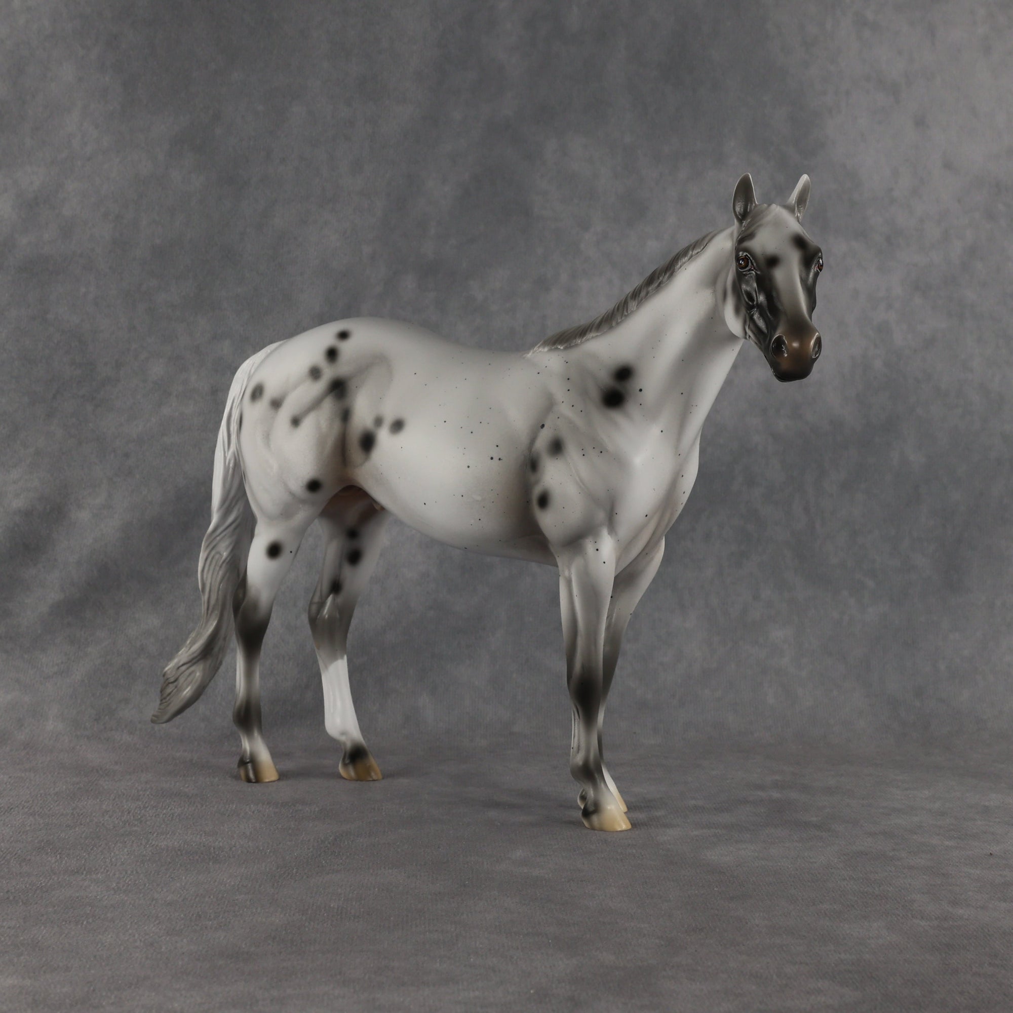 Conch OOAK Ideal Stock Horse by Madi Wiseman EQ26