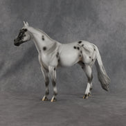 Conch OOAK Ideal Stock Horse by Madi Wiseman EQ26