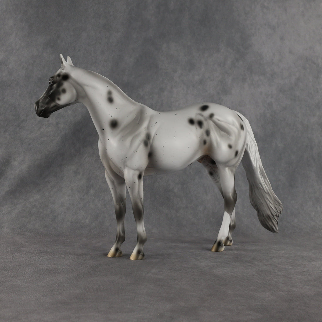 Conch OOAK Ideal Stock Horse by Madi Wiseman EQ26