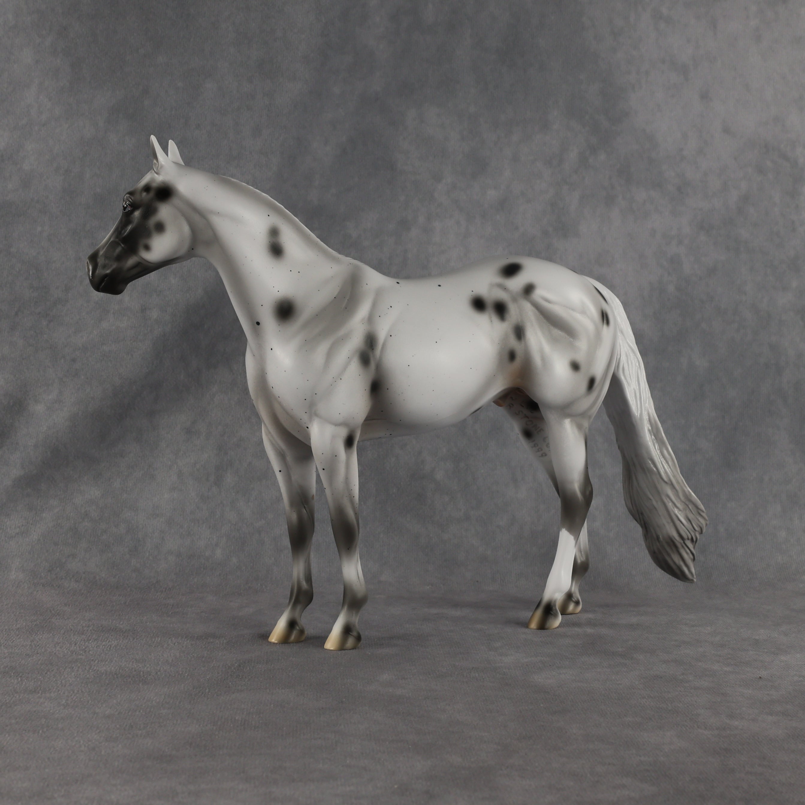 Conch OOAK Ideal Stock Horse by Madi Wiseman EQ26