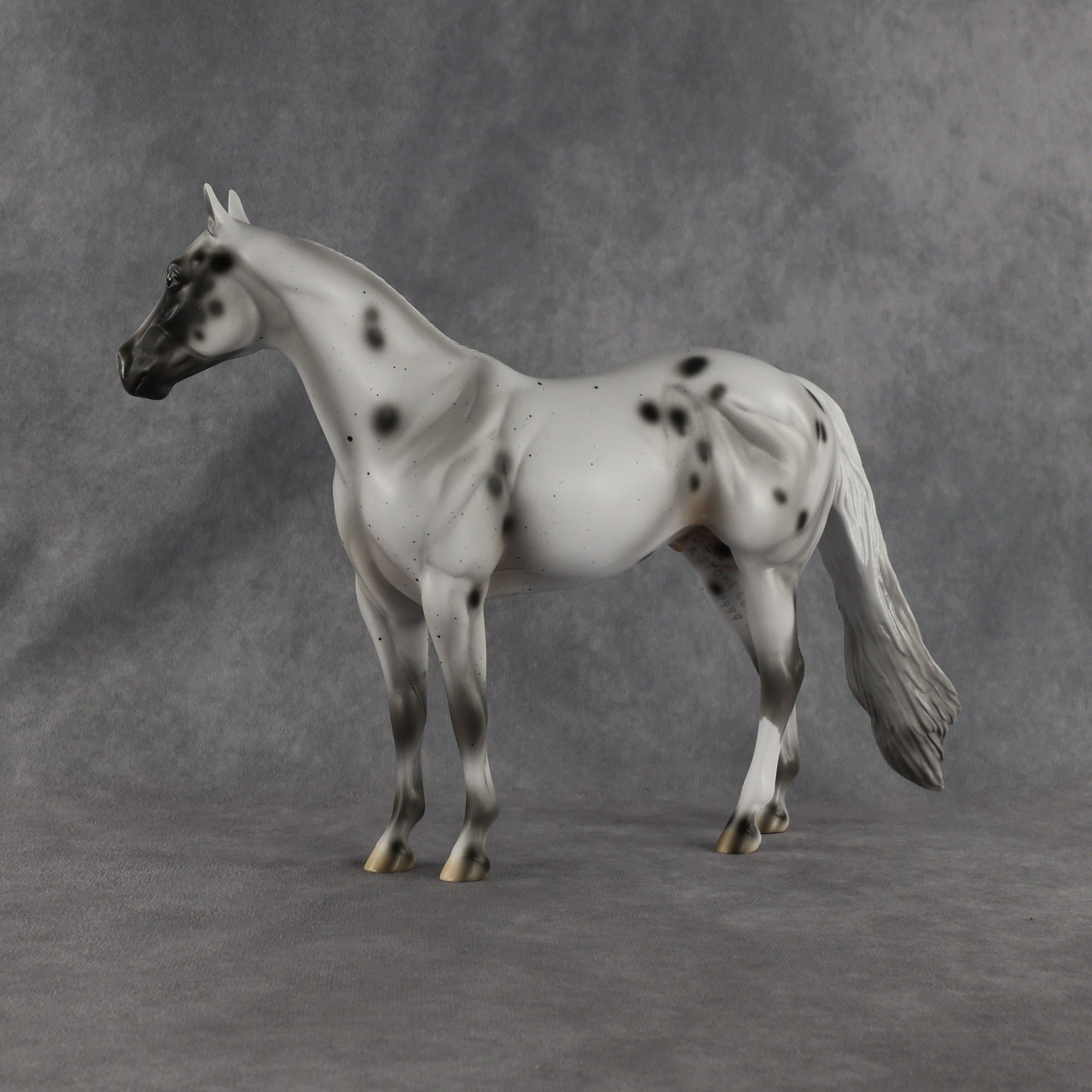 Conch OOAK Ideal Stock Horse by Madi Wiseman EQ26