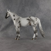 Conch OOAK Ideal Stock Horse by Madi Wiseman EQ26