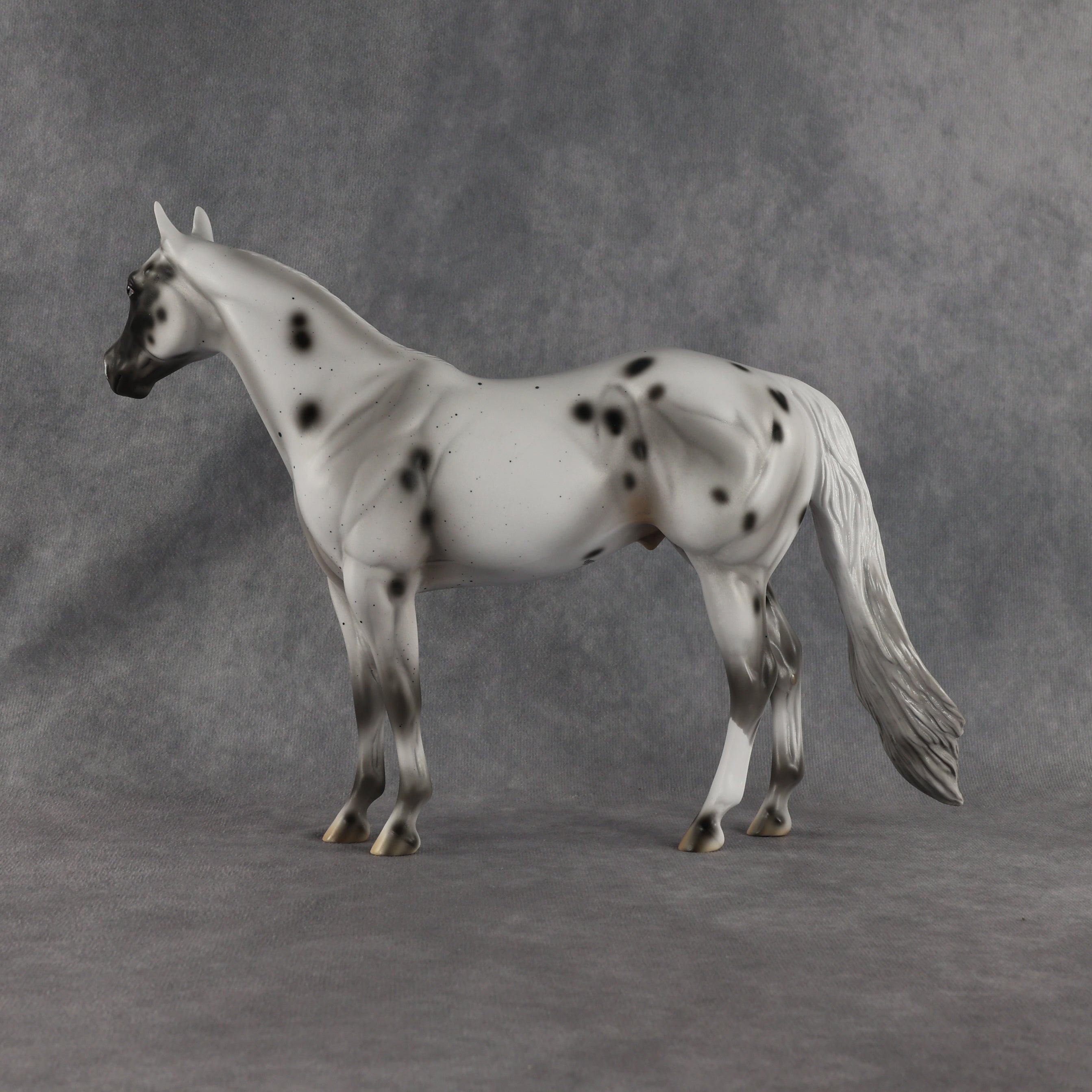 Conch OOAK Ideal Stock Horse by Madi Wiseman EQ26
