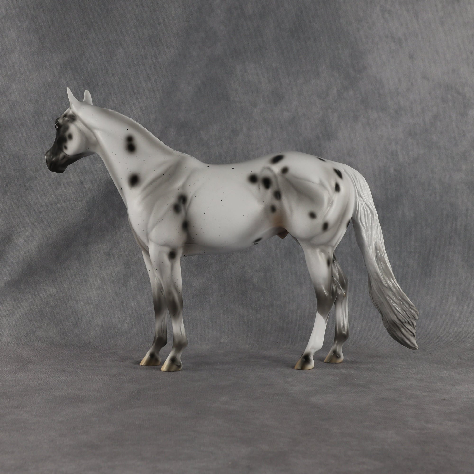 Conch OOAK Ideal Stock Horse by Madi Wiseman EQ26