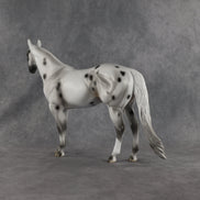 Conch OOAK Ideal Stock Horse by Madi Wiseman EQ26