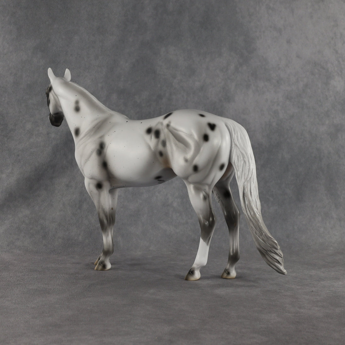 Conch OOAK Ideal Stock Horse by Madi Wiseman EQ26
