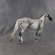 Conch OOAK Ideal Stock Horse by Madi Wiseman EQ26