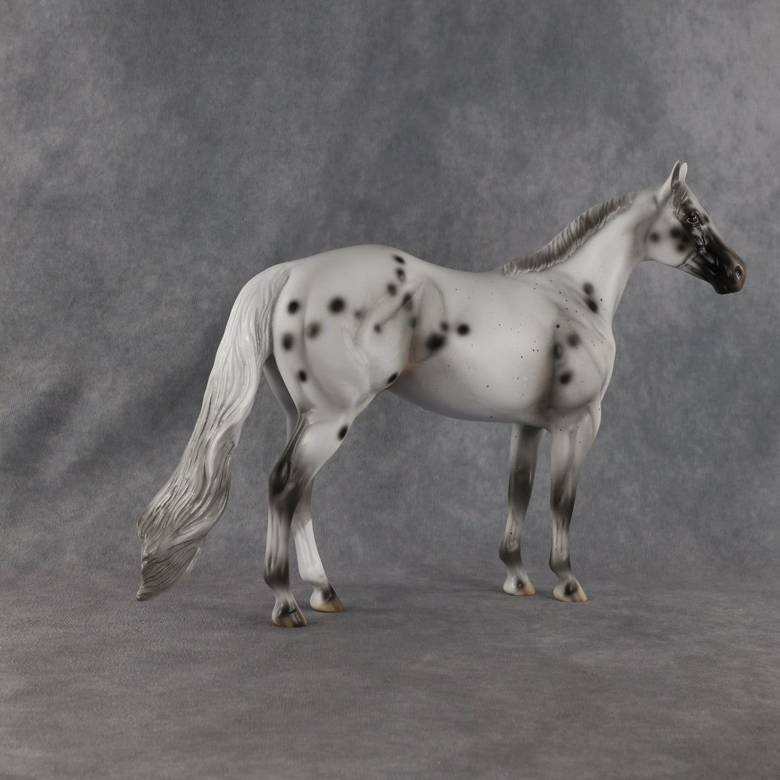 Conch OOAK Ideal Stock Horse by Madi Wiseman EQ26
