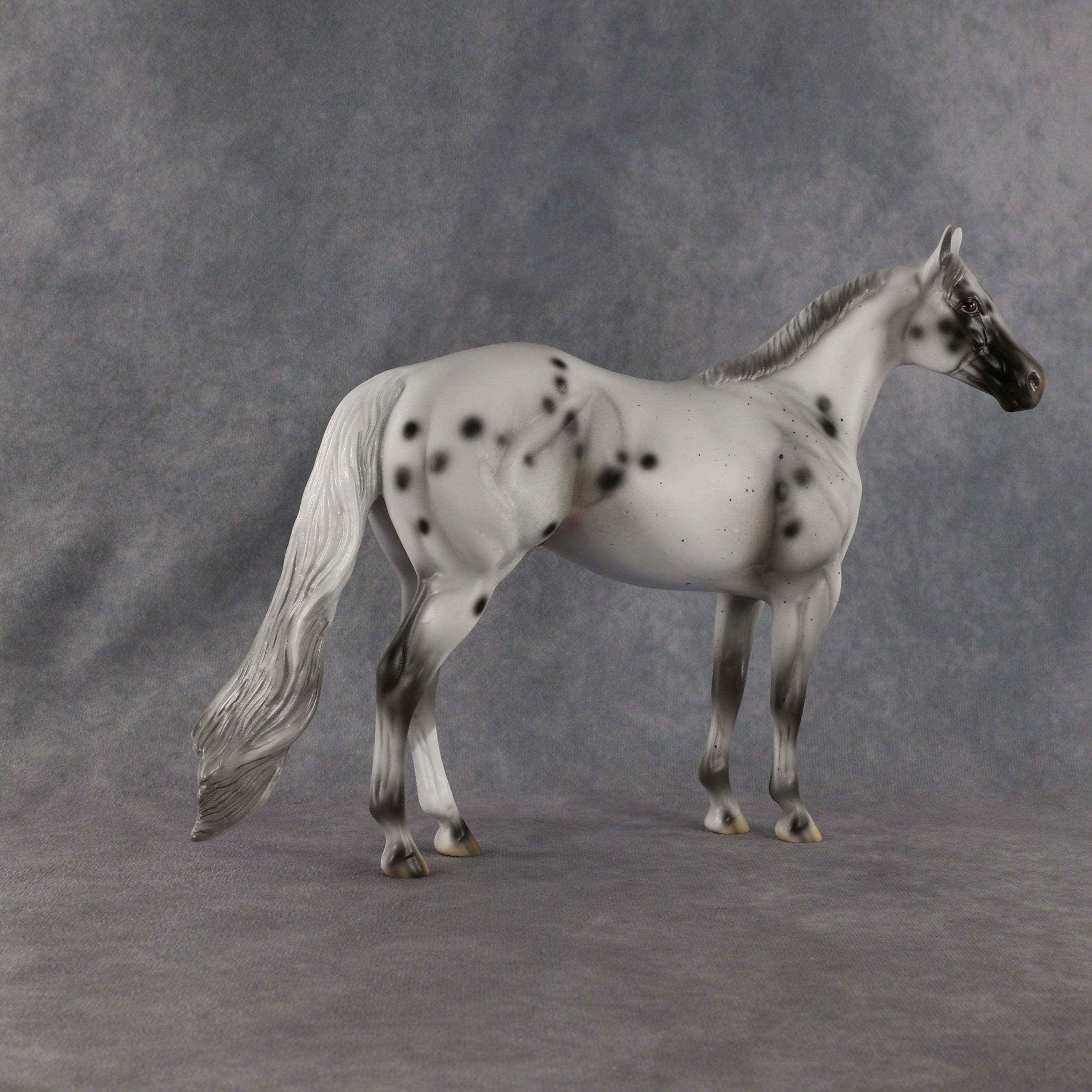 Conch OOAK Ideal Stock Horse by Madi Wiseman EQ26