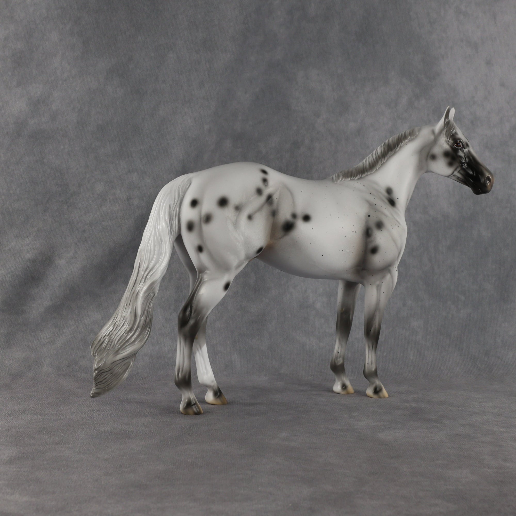 Conch OOAK Ideal Stock Horse by Madi Wiseman EQ26