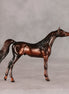 Conifer OOAK Chip Arabian by Ellen Robbins VV26