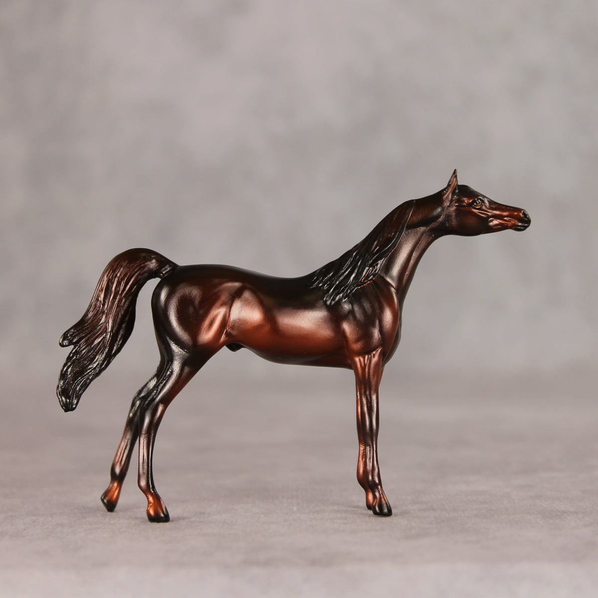 Conifer OOAK Chip Arabian by Ellen Robbins VV26