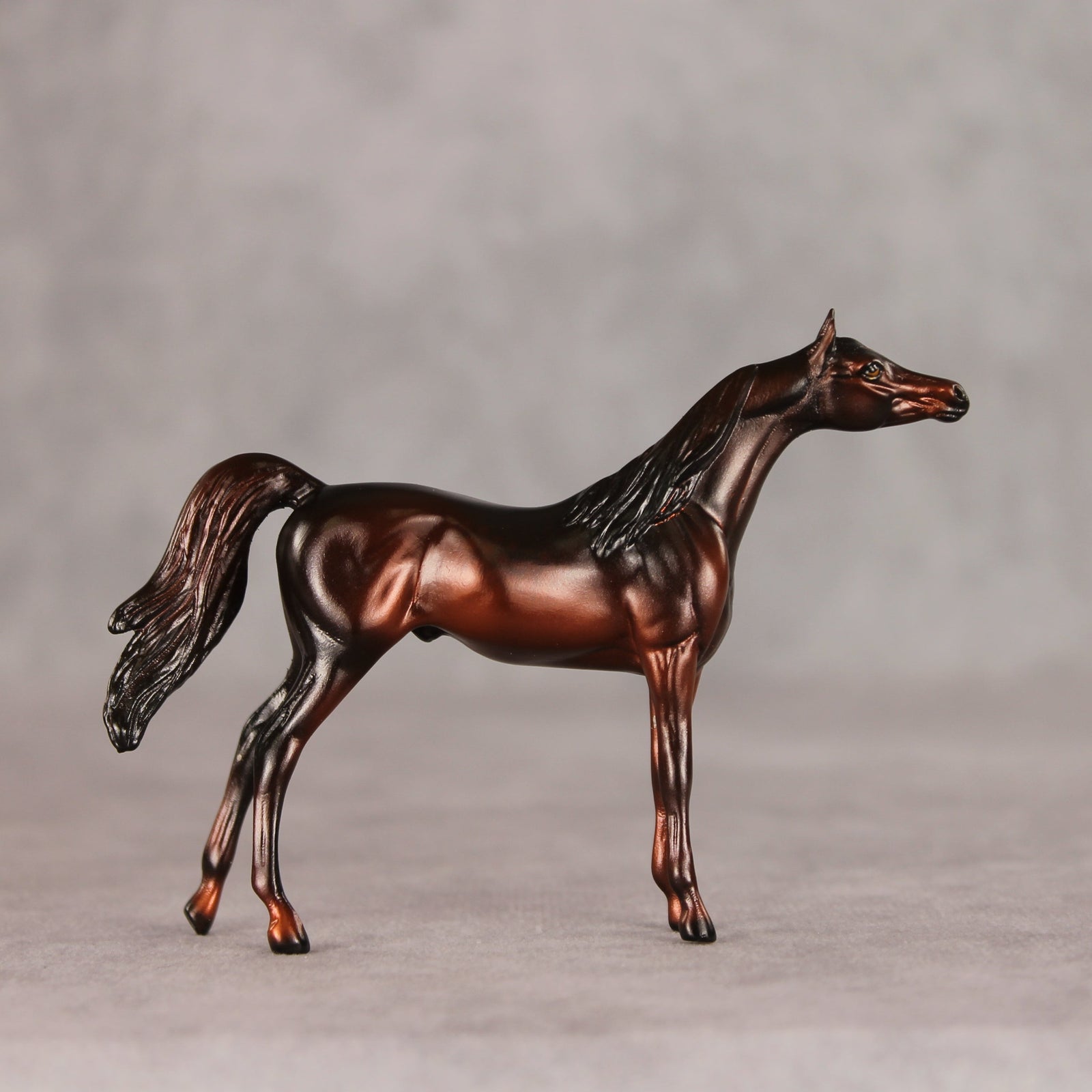 Conifer OOAK Chip Arabian by Ellen Robbins VV26