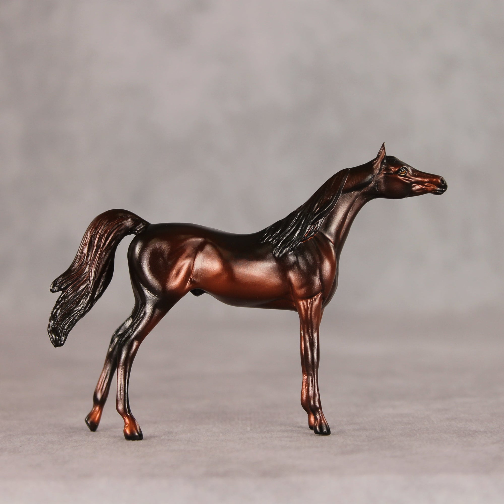 Conifer OOAK Chip Arabian by Ellen Robbins VV26