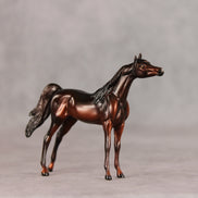 Conifer OOAK Chip Arabian by Ellen Robbins VV26