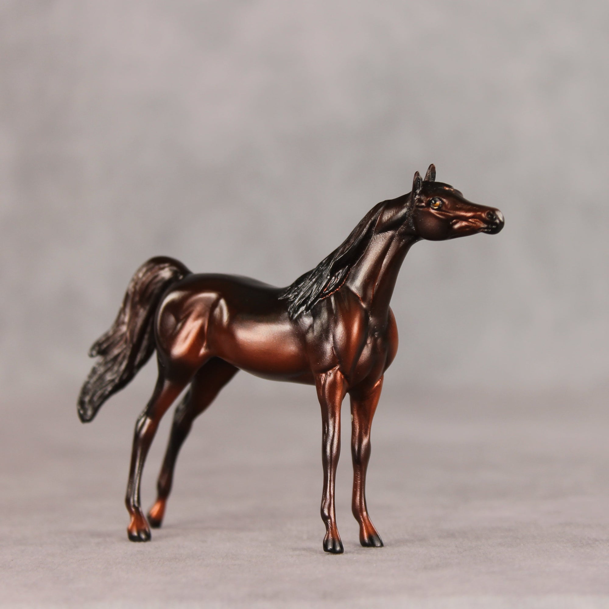 Conifer OOAK Chip Arabian by Ellen Robbins VV26