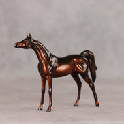 Conifer OOAK Chip Arabian by Ellen Robbins VV26