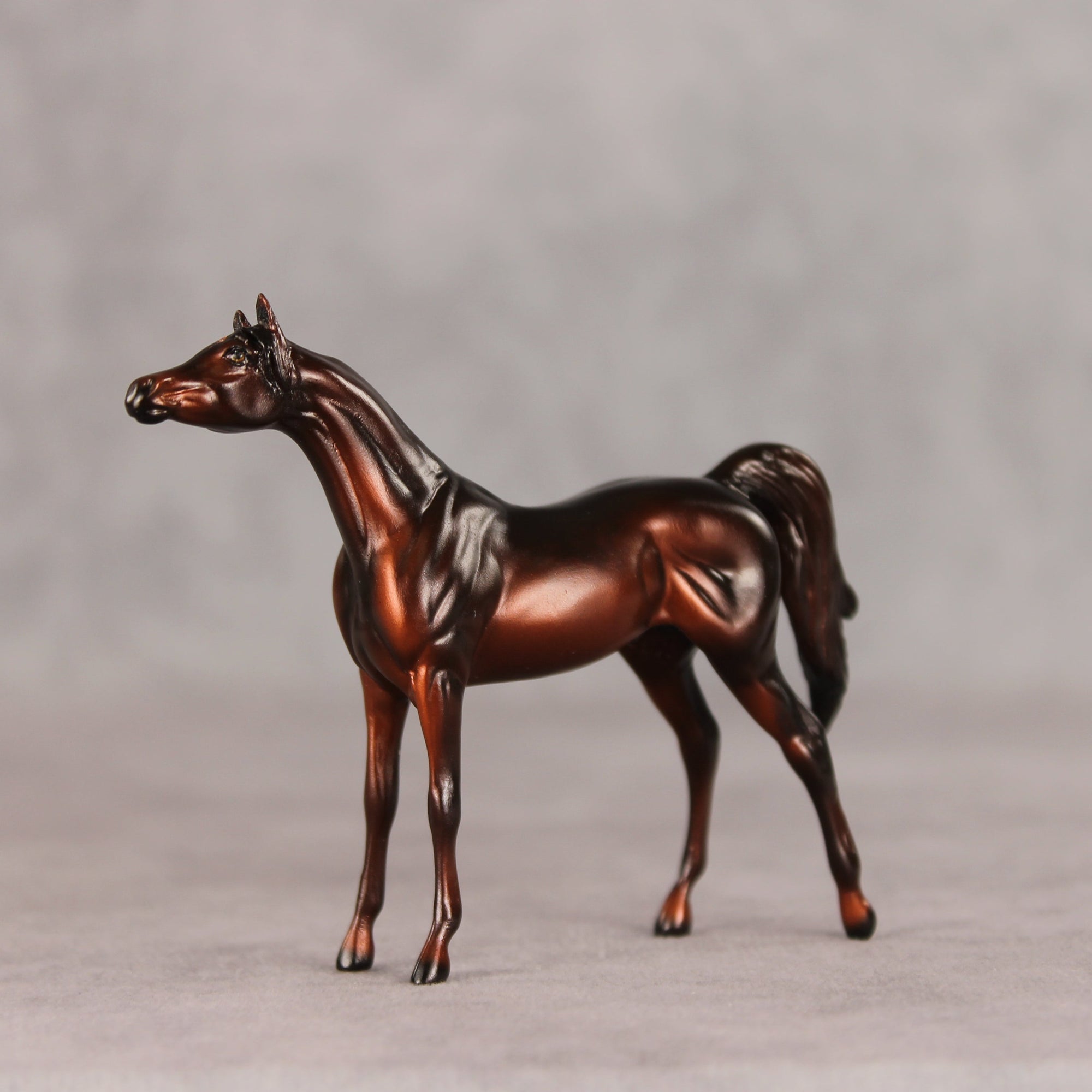 Conifer OOAK Chip Arabian by Ellen Robbins VV26