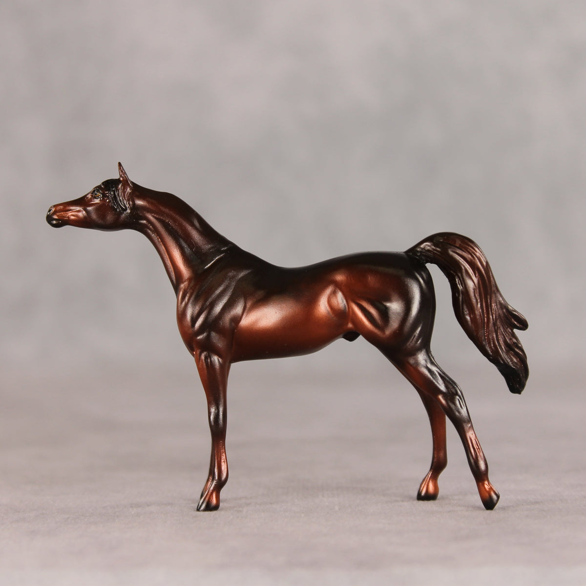 Conifer OOAK Chip Arabian by Ellen Robbins VV26