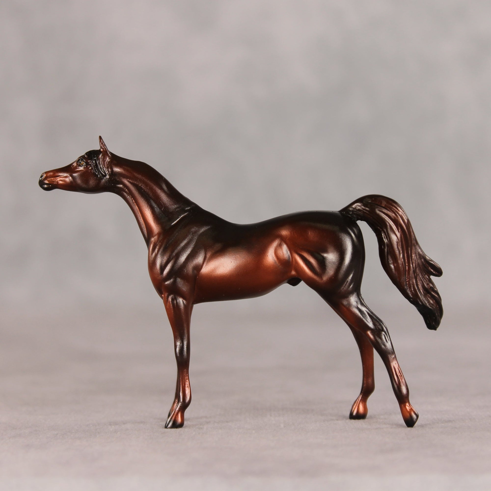 Conifer OOAK Chip Arabian by Ellen Robbins VV26