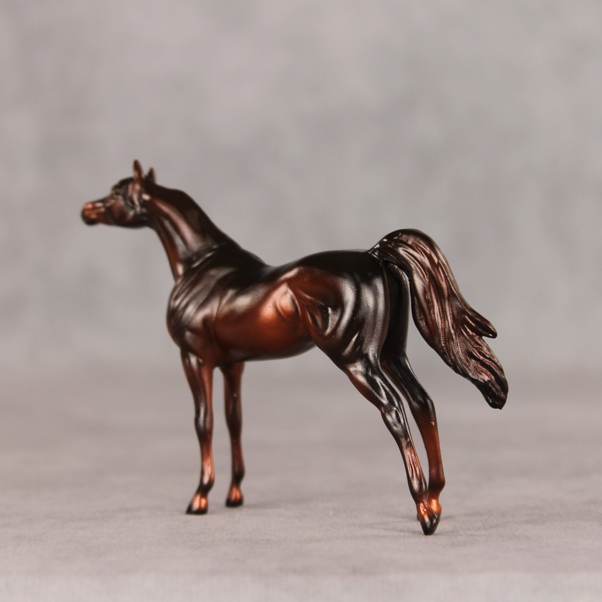 Conifer OOAK Chip Arabian by Ellen Robbins VV26