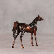 Conifer OOAK Chip Arabian by Ellen Robbins VV26