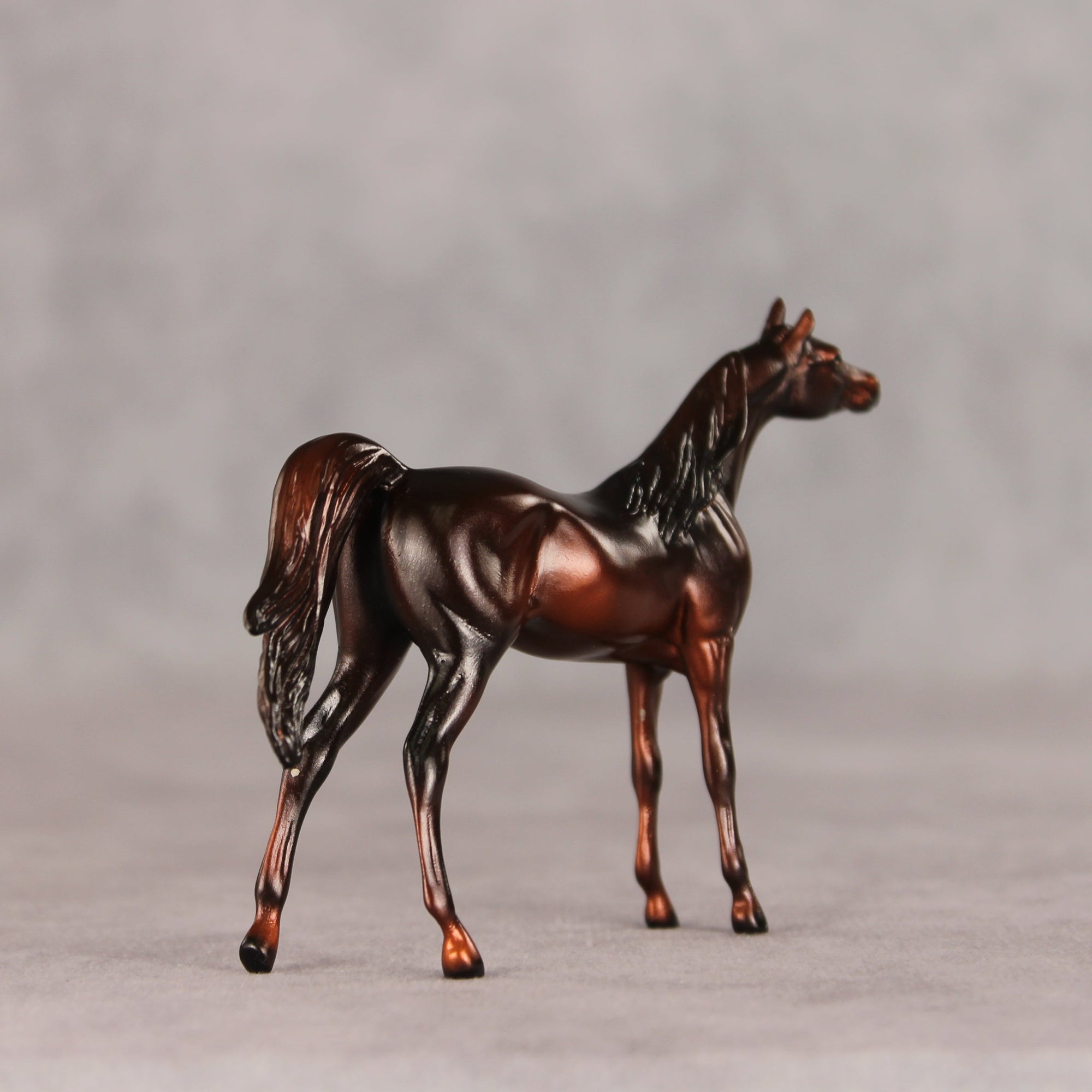 Conifer OOAK Chip Arabian by Ellen Robbins VV26