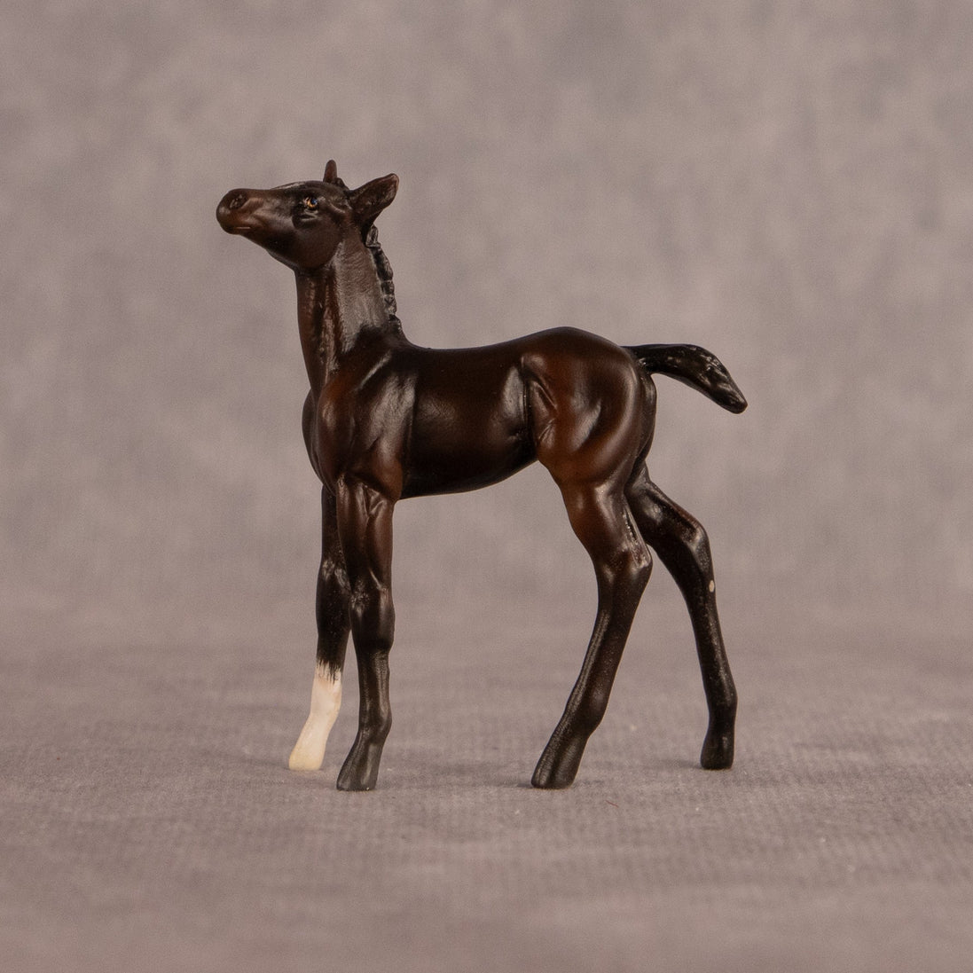 Connecting Flight OOAK Chip Foal by Carly Kudalis EQ26