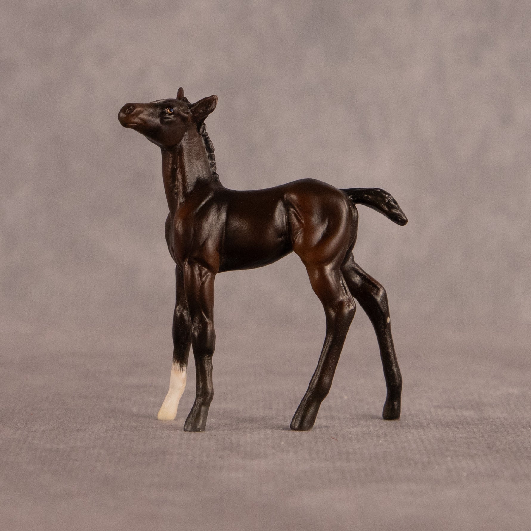 Connecting Flight OOAK Chip Foal by Carly Kudalis EQ26