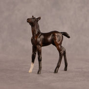 Connecting Flight OOAK Chip Foal by Carly Kudalis EQ26