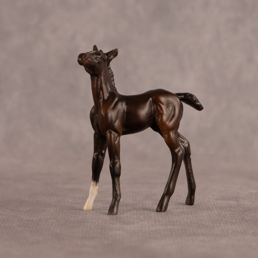 Connecting Flight OOAK Chip Foal by Carly Kudalis EQ26