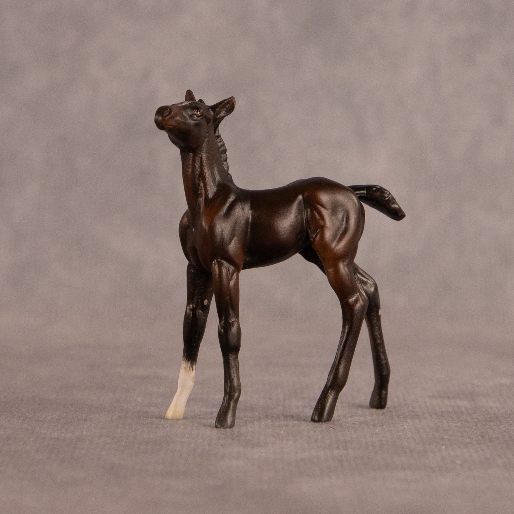 Connecting Flight OOAK Chip Foal by Carly Kudalis EQ26