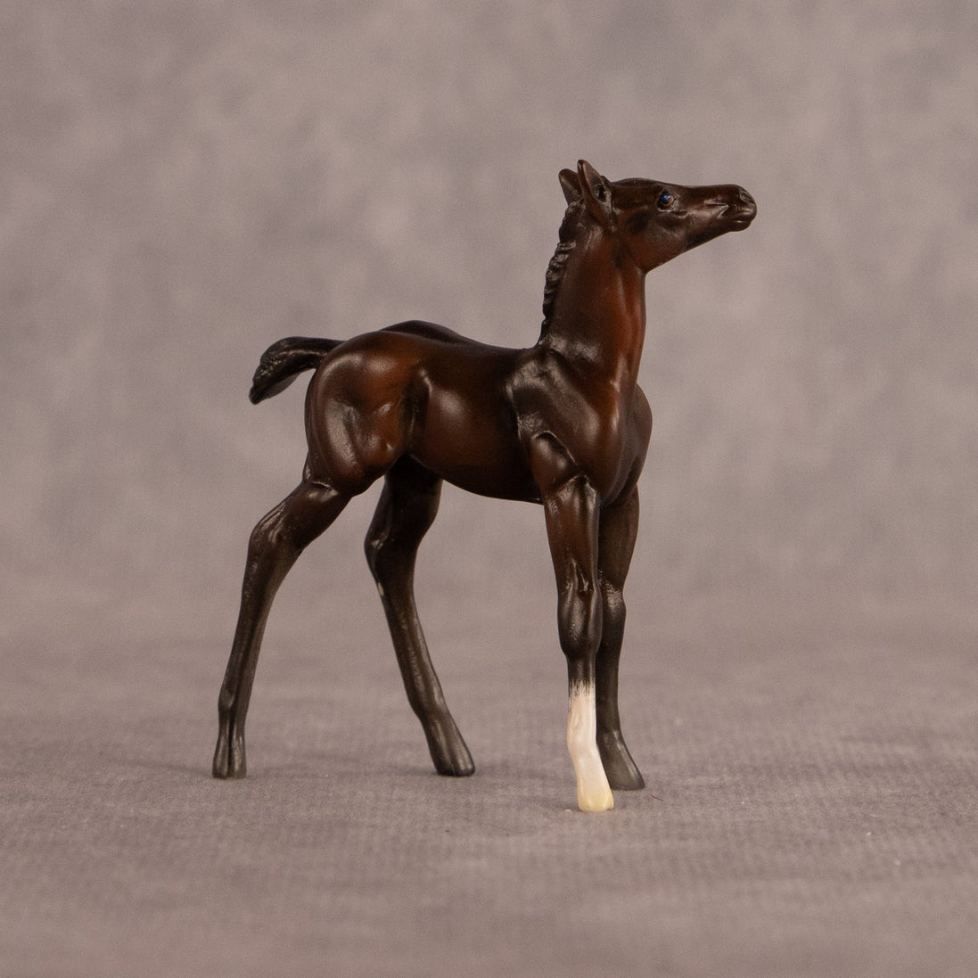 Connecting Flight OOAK Chip Foal by Carly Kudalis EQ26