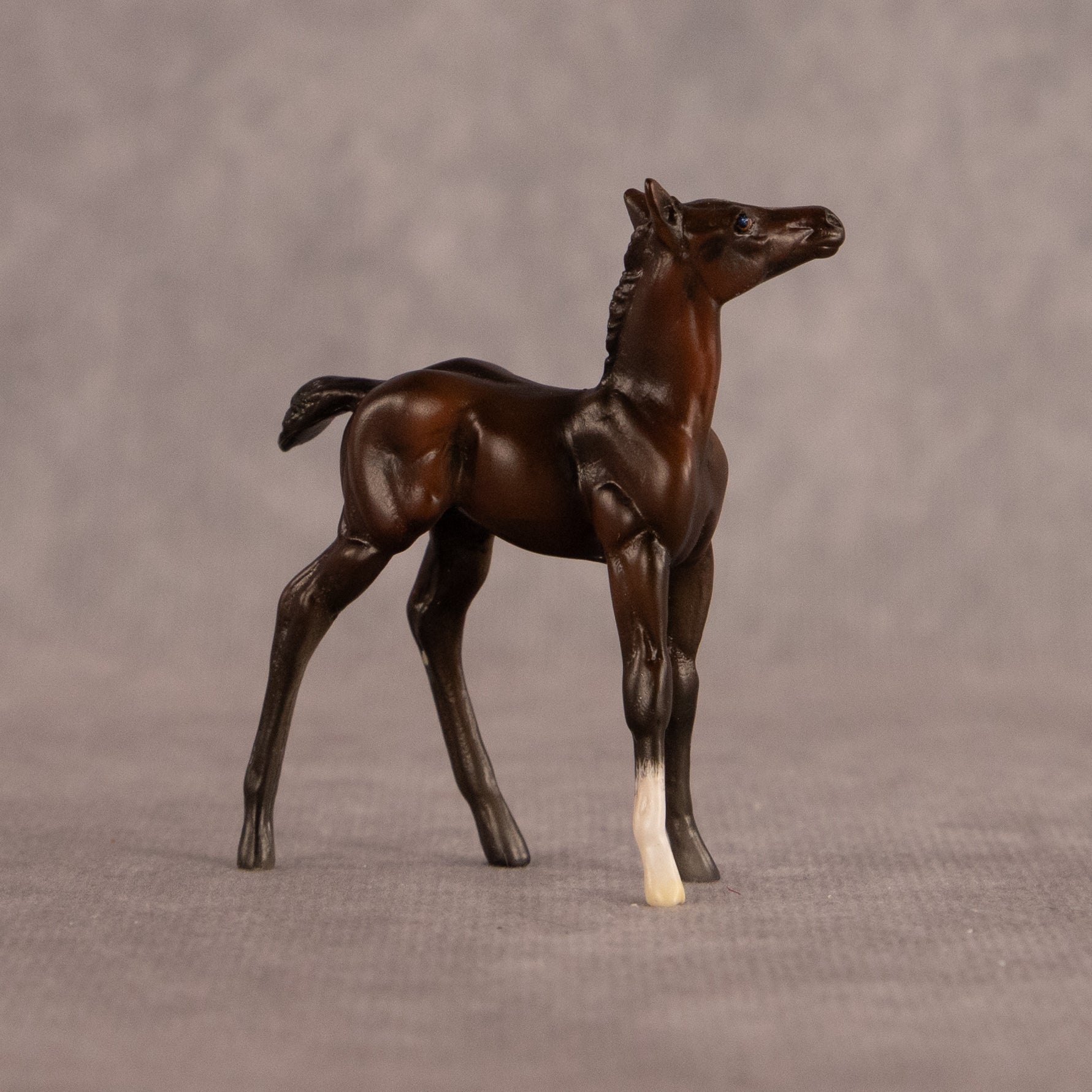 Connecting Flight OOAK Chip Foal by Carly Kudalis EQ26