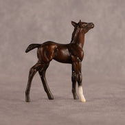 Connecting Flight OOAK Chip Foal by Carly Kudalis EQ26