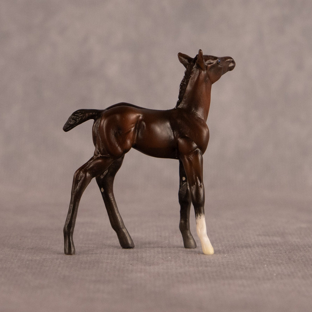 Connecting Flight OOAK Chip Foal by Carly Kudalis EQ26