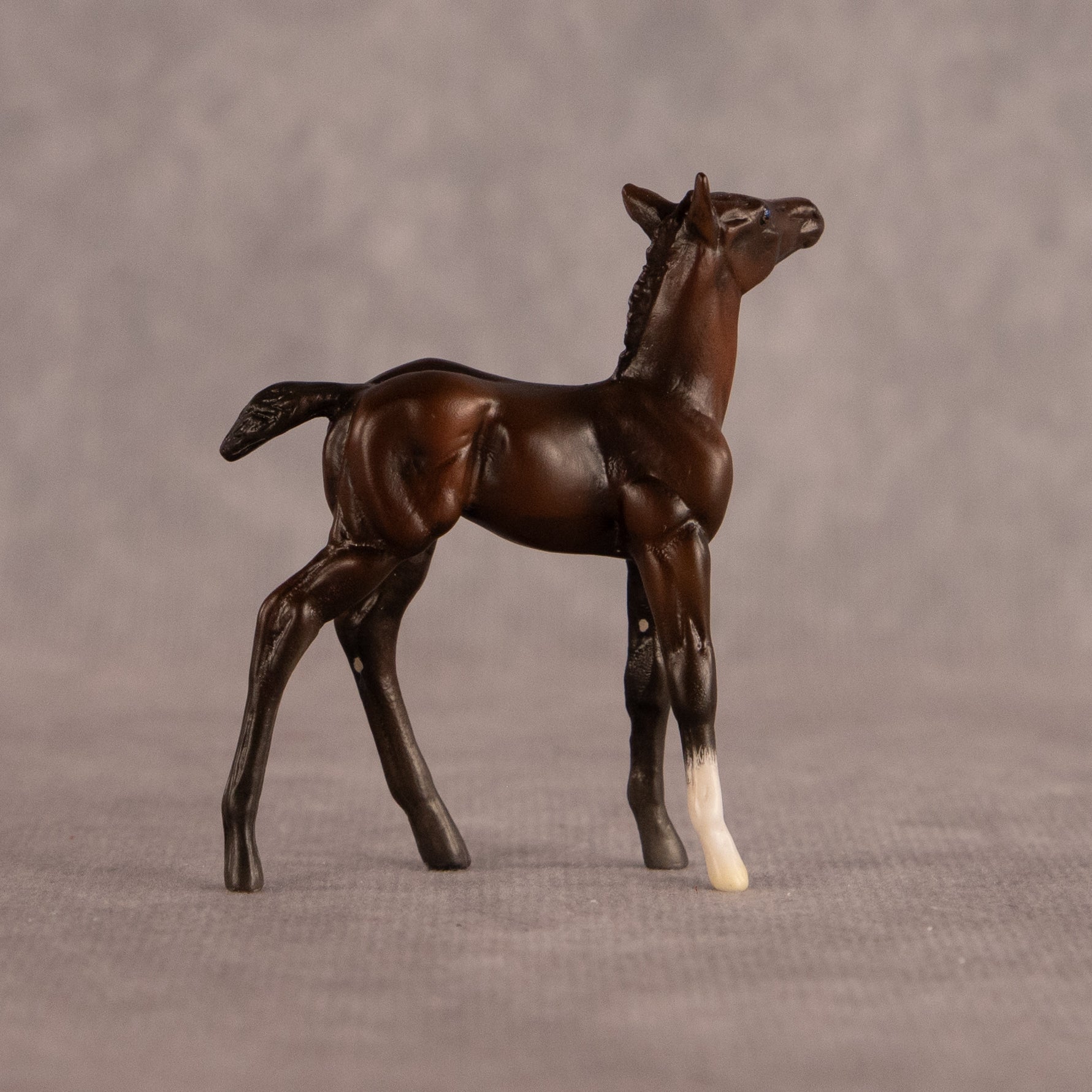 Connecting Flight OOAK Chip Foal by Carly Kudalis EQ26