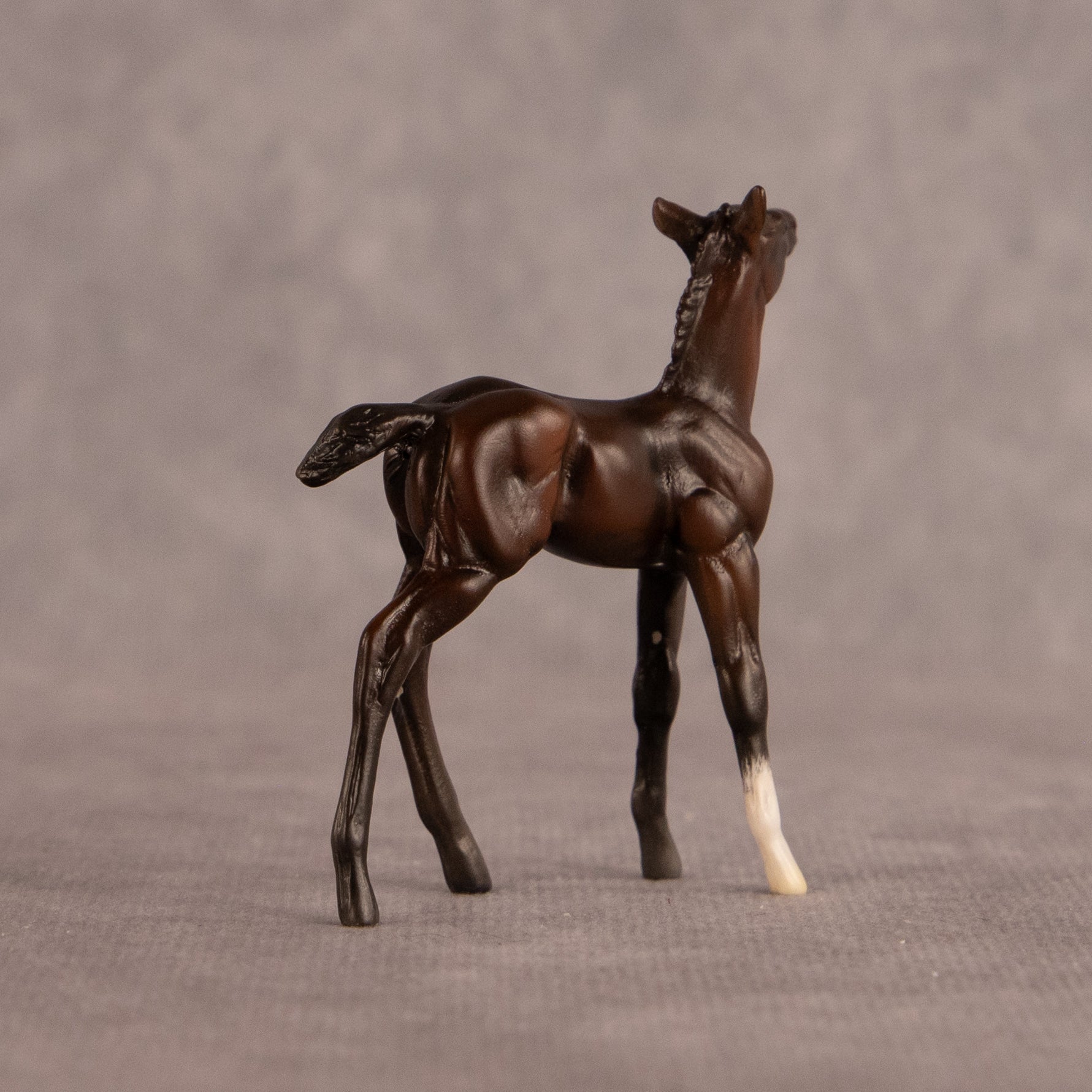 Connecting Flight OOAK Chip Foal by Carly Kudalis EQ26
