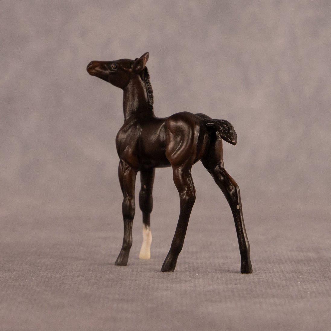 Connecting Flight OOAK Chip Foal by Carly Kudalis EQ26