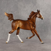 Constance OOAK  Arabian Yearling by Angela Marleau LHS26