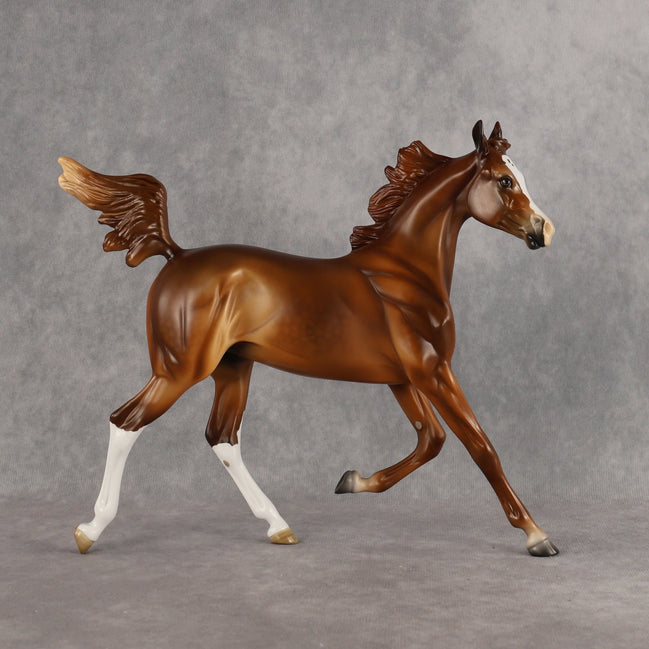 Constance OOAK  Arabian Yearling by Angela Marleau LHS26