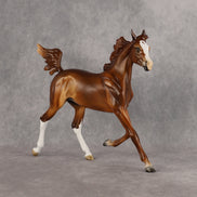 Constance OOAK  Arabian Yearling by Angela Marleau LHS26