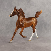 Constance OOAK  Arabian Yearling by Angela Marleau LHS26