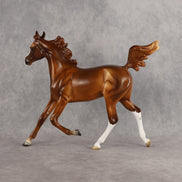 Constance OOAK  Arabian Yearling by Angela Marleau LHS26