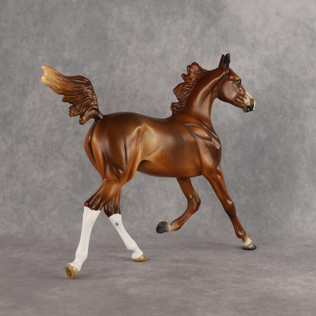 Constance OOAK  Arabian Yearling by Angela Marleau LHS26