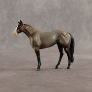 Cookie & Chocolate Chip OOAK Chip FCM Stock Horse & Chip Foal by Anna Rieck SCD26