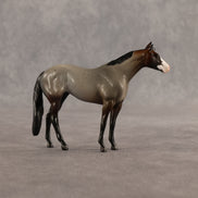 Cookie & Chocolate Chip OOAK Chip FCM Stock Horse & Chip Foal by Anna Rieck SCD26