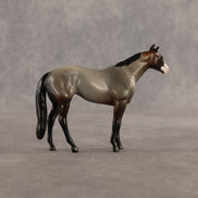 Cookie & Chocolate Chip OOAK Chip FCM Stock Horse & Chip Foal by Anna Rieck SCD26