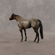 Cookie & Chocolate Chip OOAK Chip FCM Stock Horse & Chip Foal by Anna Rieck SCD26